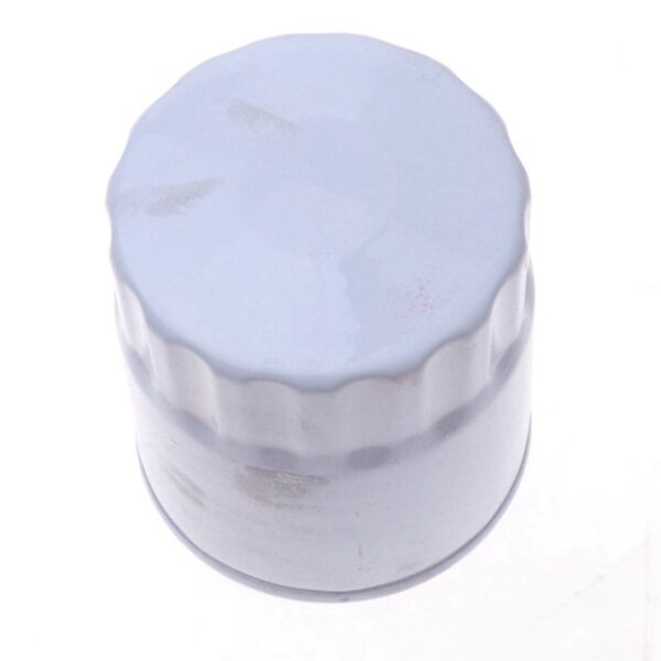 Oil Filter 24101553