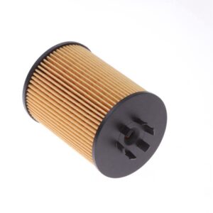 Oil Filter 11427501161
